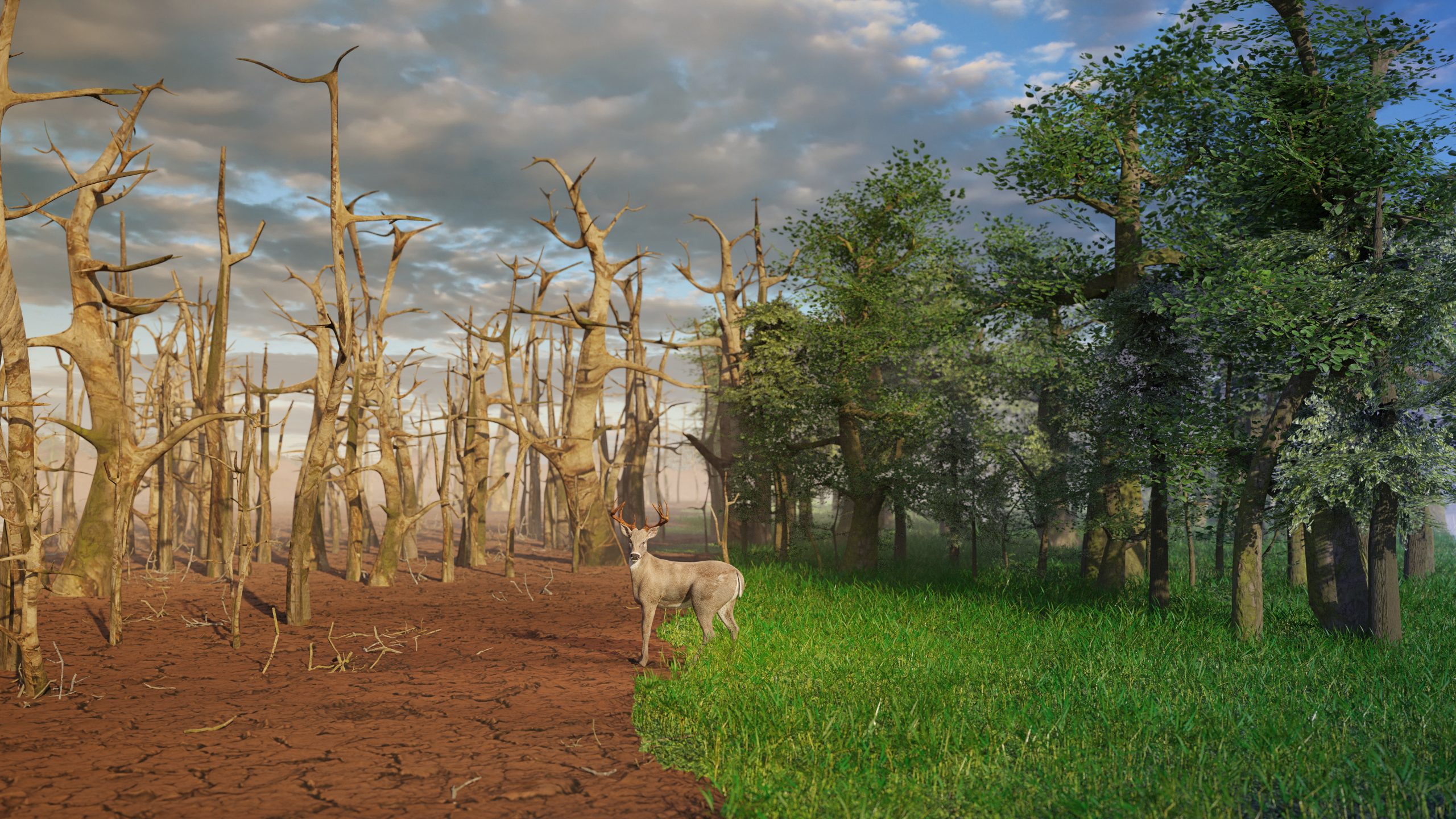 Adapting to the Impacts of Climate Change ETK